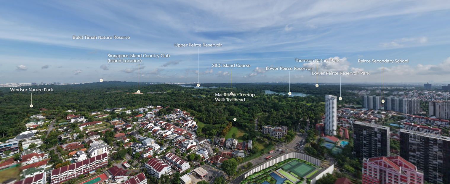 Drone View